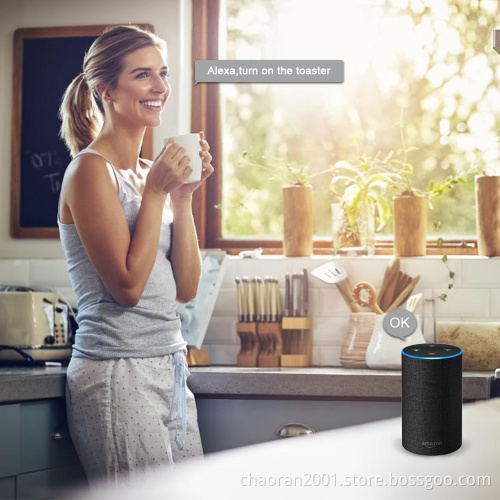 2019 FCC CE Approval Alexa Google Home Wifi Socket Outlet Smart Plug 10A Us Standard Wifi Smart Home Devices